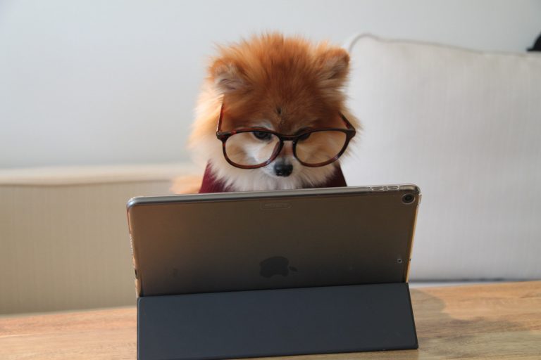 Using Online Resources to Upgrade Your Job Skills